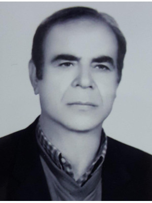 بهرام طاهری دولت آبادی